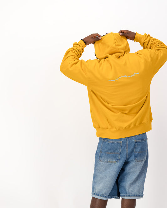 Destroy The Patriarchy not The Planet Hoodie